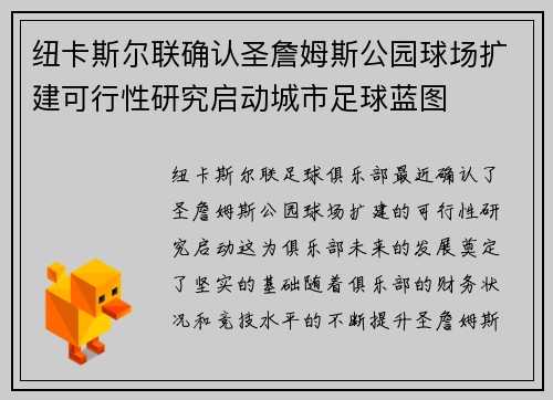 纽卡斯尔联确认圣詹姆斯公园球场扩建可行性研究启动城市足球蓝图